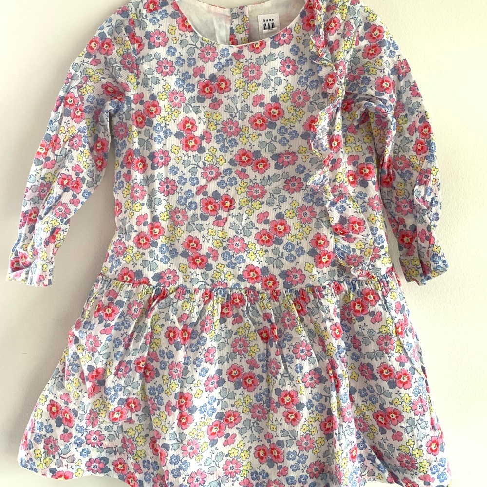 Baby Gap Floral Dress